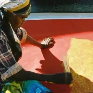Portrait of Angelina Ngale Pwerle