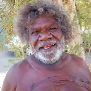Portrait of George (Hairbrush) Tjungurrayi