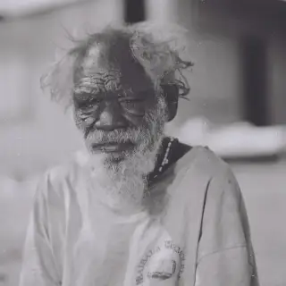 Portrait of Sunfly Tjampitjin