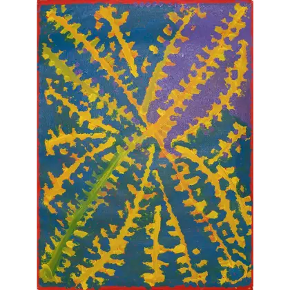 Lorna Naparrula Fencer, Bush Potato, 2001, synthetic polymer paint on canvas, 72 x 53 cm