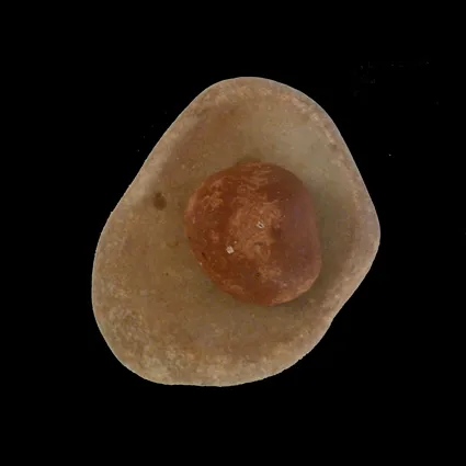 Artist Once Known, Grinding Stone, stone, 19 x 14cm