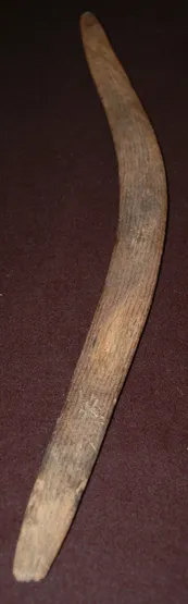 Artist Once Known, Hunting Boomerang, carved hardwood