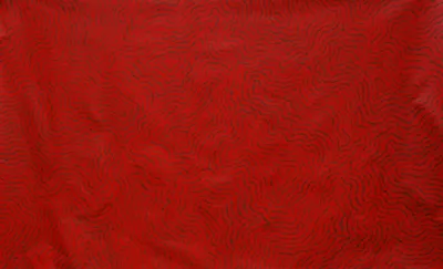 Gabrielle Possum Nungarrayi, Worm Dreaming, 2014, synthetic polymer paint on canvas, 115 x 186 cm