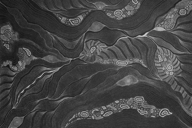 Anna Price Petyarre, Grandmothers Country, 2017, synthetic polymer paint on Belgian linen, 120 x 178 cm