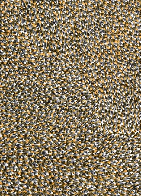 Abie Loy Kemarre, Bush Leaf Dreaming, 2017, synthetic polymer paint on canvas, 70 x 50 cm