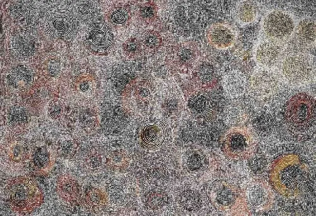 Coleen Whiskey, While Rock Holes and Country Near The Olgas, 2010, synthetic polymer paint on Belgian linen, 265 x 183 cm