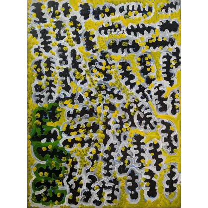 Lorna Naparrula Fencer, Bush Tomato, c.1997, synthetic polymer paint on canvas, 98 x 70 cm