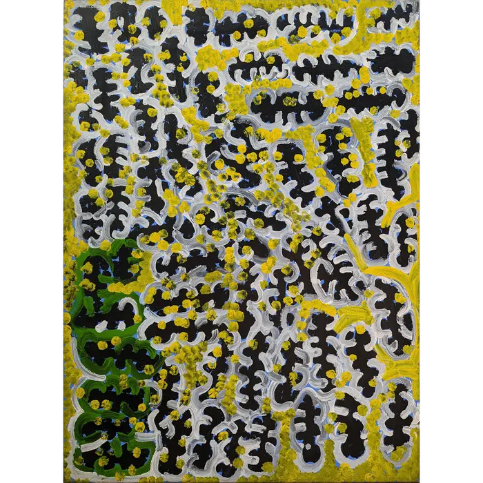 Lorna Naparrula Fencer, Bush Tomato, c.1997, synthetic polymer paint on canvas, 98 x 70 cm