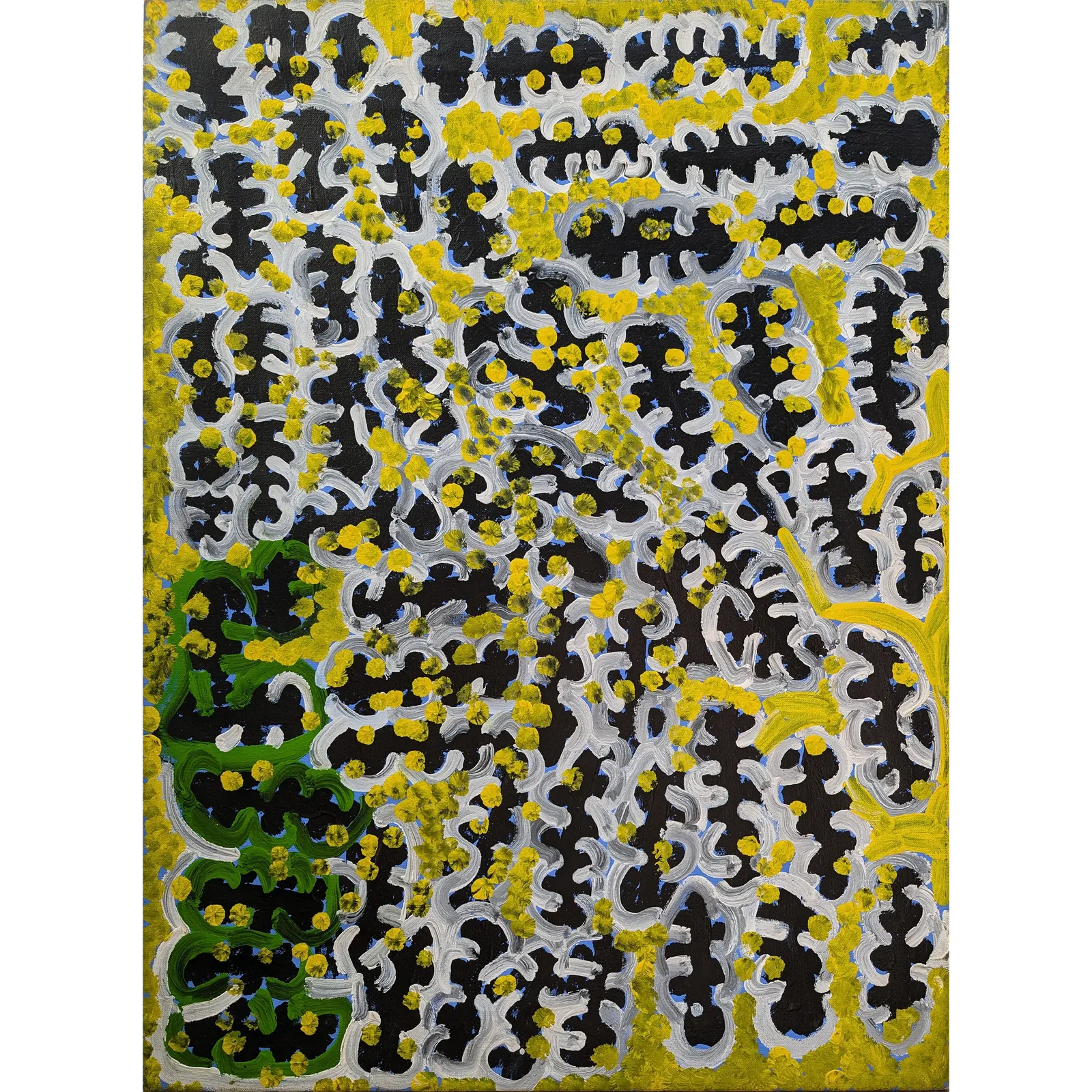 Lorna Naparrula Fencer, Bush Tomato, c.1997, synthetic polymer paint on canvas, 98 x 70 cm