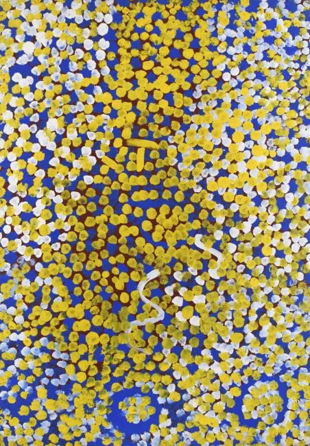 Lorna Naparrula Fencer, Caterpillar, 1995, synthetic polymer paint on canvas, 100 x 72cm