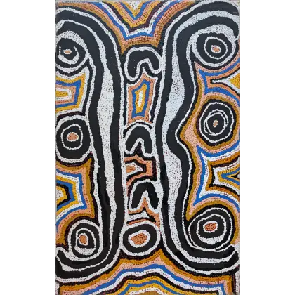 Liddy Nakamarra Nelson, Bush Potato Dreaming, 1999, synthetic polymer paint on canvas, 54 x 86 cm