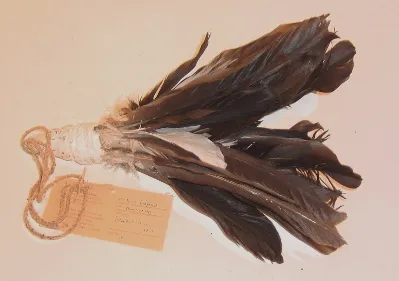 Mick Kubarkku, Feathered bush fan, 28 x 20 cm