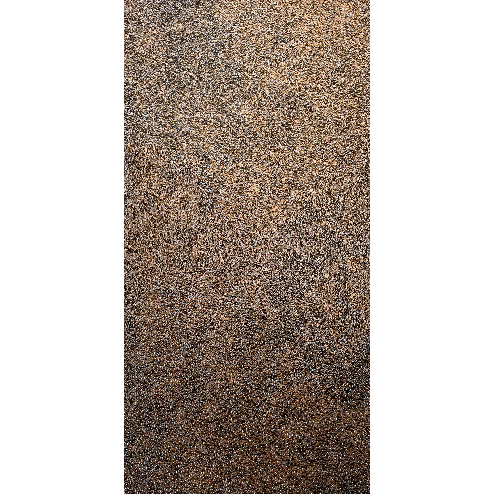 Elizabeth Kunoth Kngwarrey, Yam Seeds in my Grandmother's Country, 2022, synthetic polymer paint on linen, 60 x 120 cm