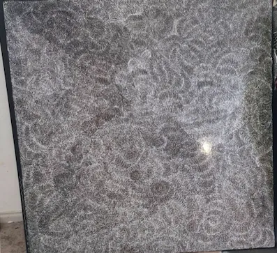 Jorna Newberry, Perentie Dreaming, 2022, synthetic polymer paint on canvas