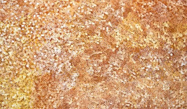 Belinda Golder Kngwarreye, Bush Plum, 2017, synthetic polymer paint on canvas, 120 x 200 cm
