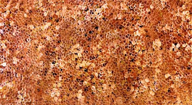 Belinda Golder Kngwarreye, Bush Plum, 2018, synthetic polymer paint on Belgian linen, 198 x 105 cm