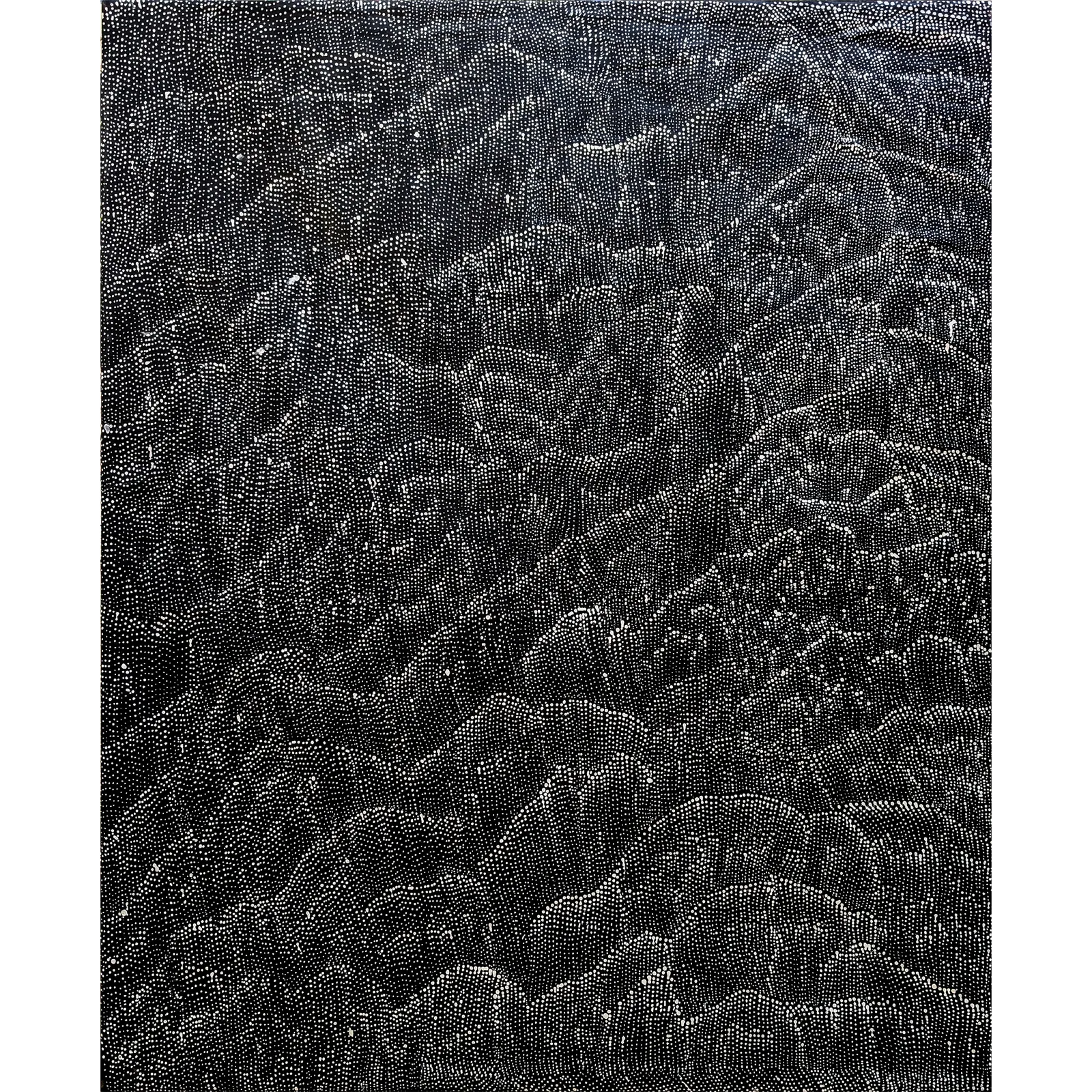 Lily Kelly Napangardi, Tali (Sand Hills), 2005, synthetic polymer paint on Belgian linen, 147 x 126 cm