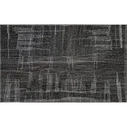 Dorothy Robinson Napangardi, Salt on Mina Mina, 2002, synthetic polymer paint on Belgian linen, 122 x 198 cm