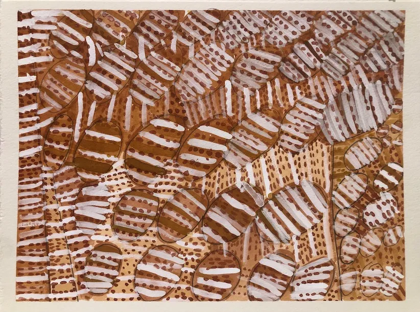Lorna Kantilla, Jukwarringa (Mud Mussels), 2021, natural earth pigments on paper, 29 x 38 cm