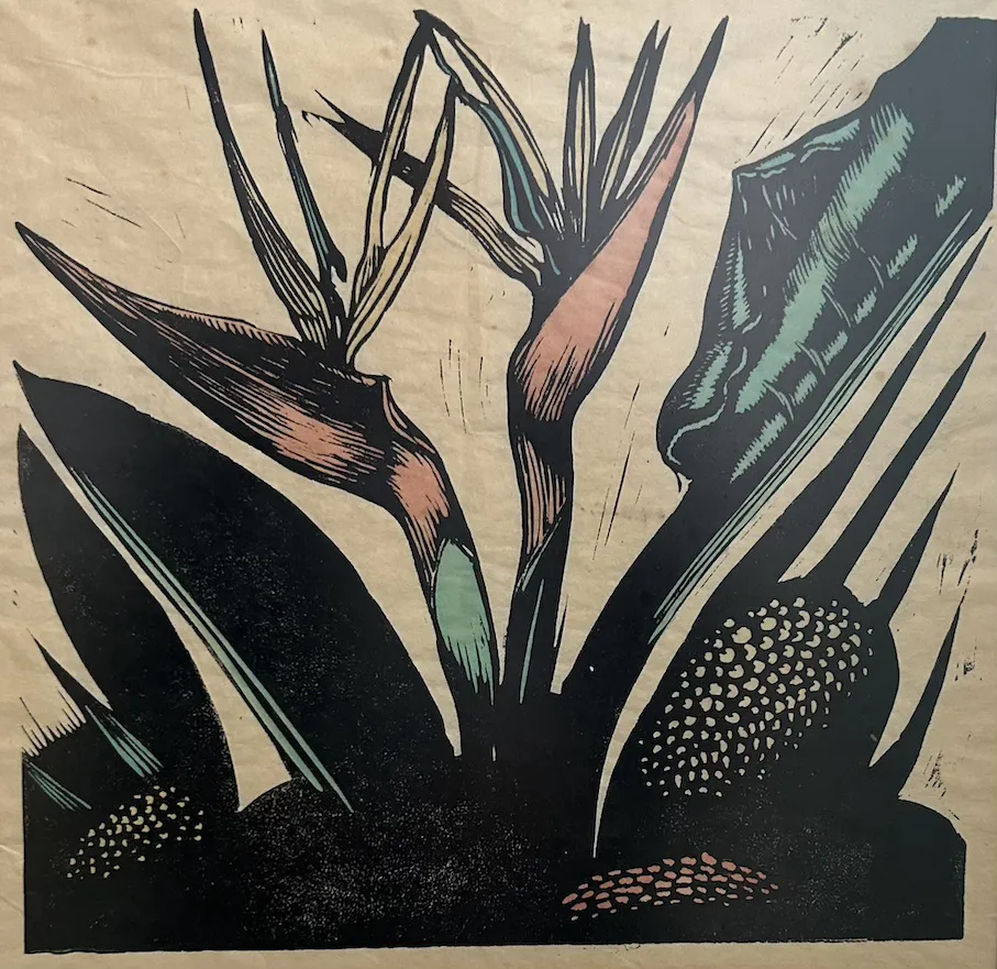 Bruce Goold, Strelitzias, 1983, linocut print on paper, 31cm x 33cm