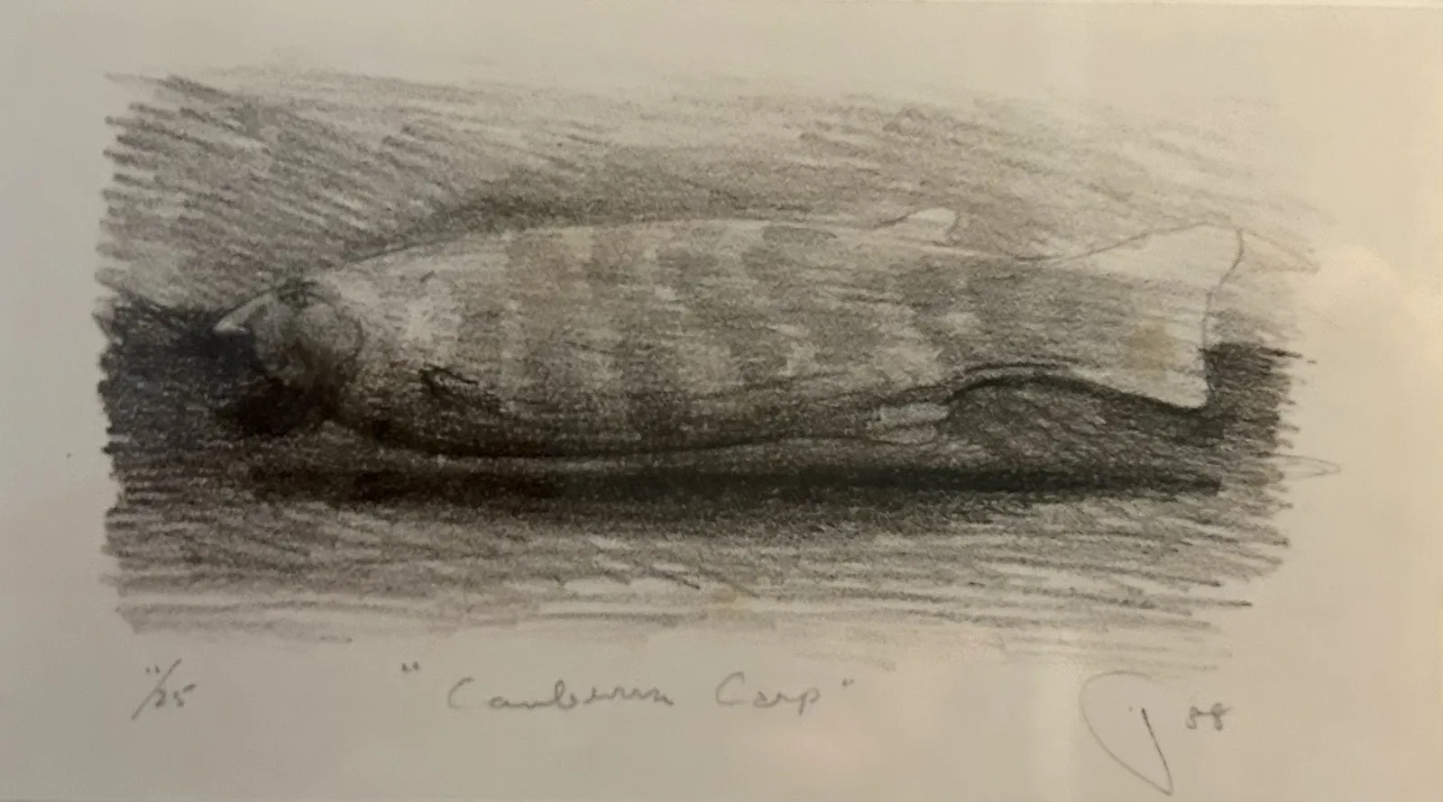 Theo Tremblay, Canberra Carp, 1988, graphite on paper, 17 x 9.5 cm