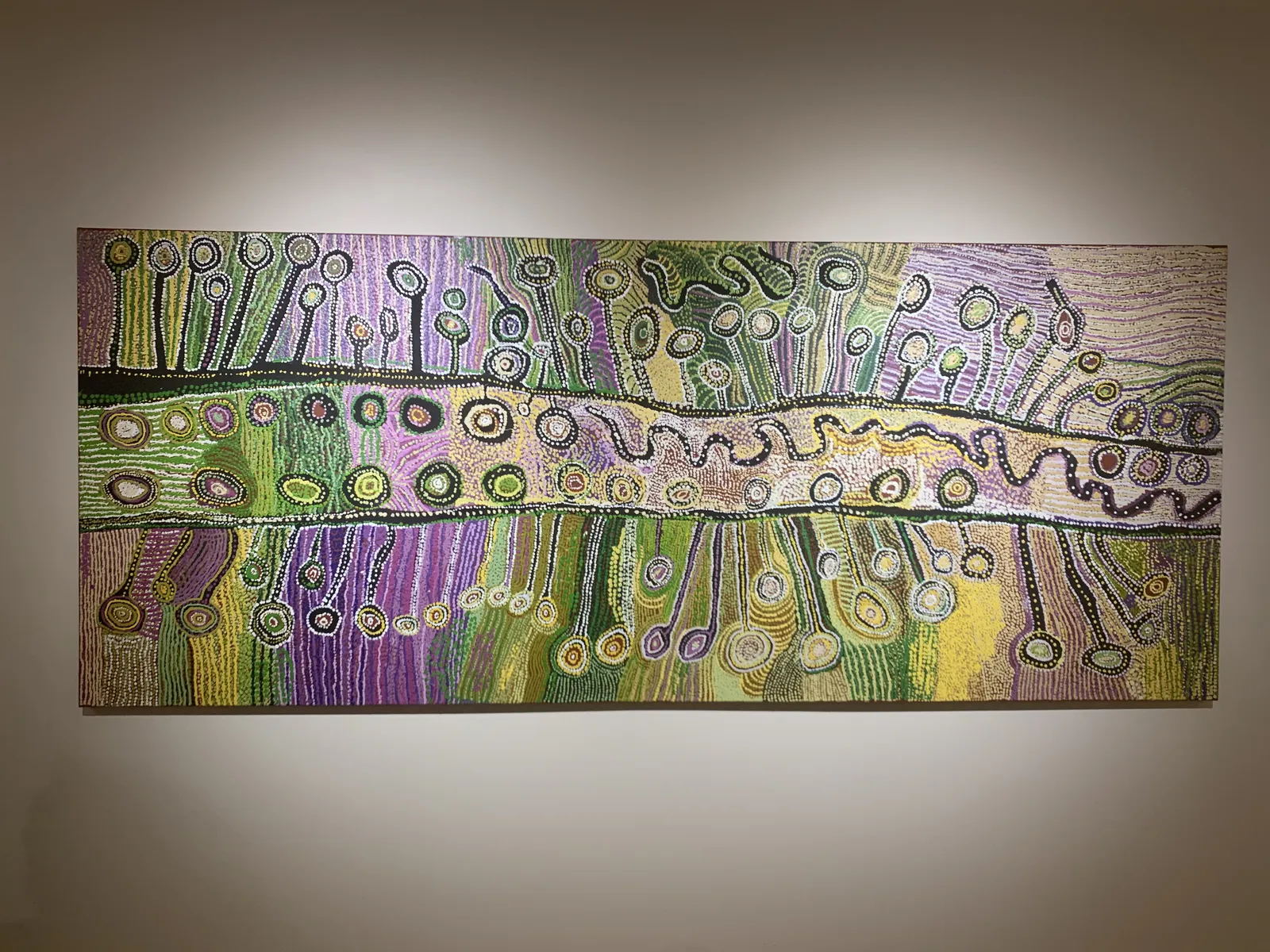 Burton Women's Collaborative, Ngayuku Ngura - My Country, 2022, synthetic polymer paint on linen, 122 x 300 cm