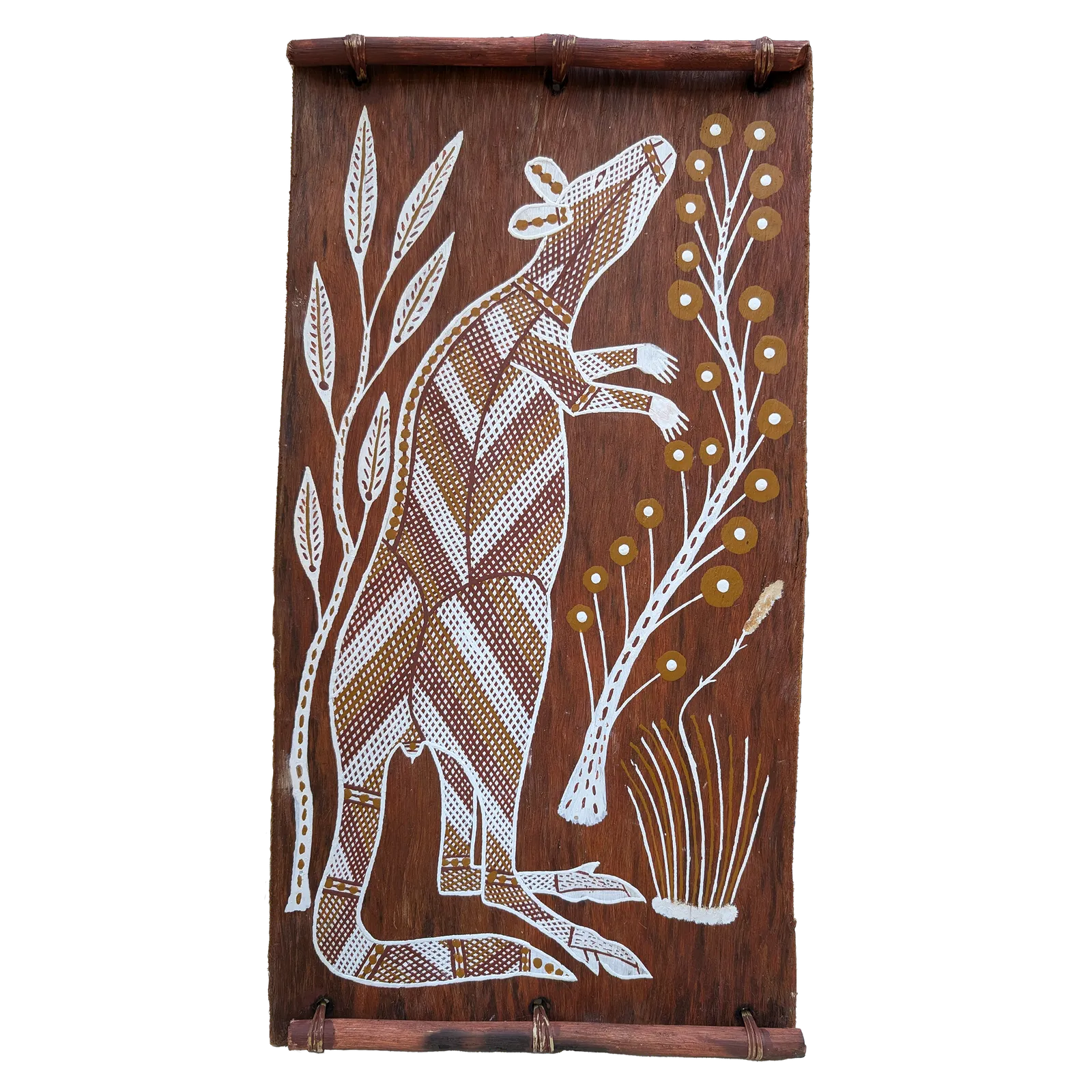 Dennis Rostron, Nabarlek (Petrogale concinna), 2022, natural earth pigments on bark, 48 x 25 cm