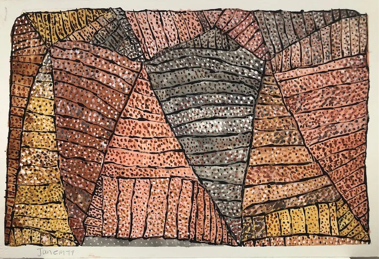 Jane Margaret Tipuamantumirri, watercolour on paper, 57 x 38 cm paper; 53 x 34 cm image