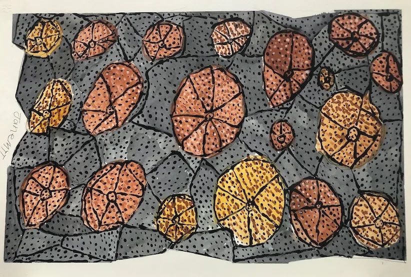 Jane Margaret Tipuamantumirri, watercolour on paper, 57 x 38 cm paper; 52x 33.5cm image