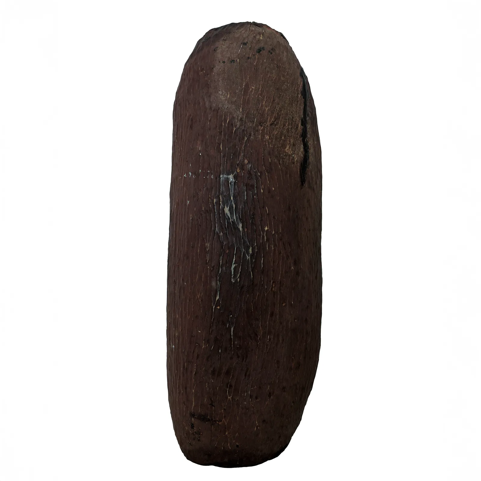 Artist Once Known, large shield, carved wood, 101 x 37 cm