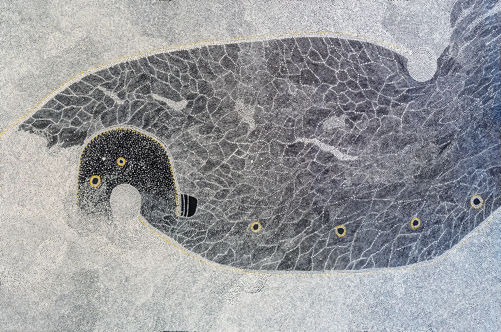 Pungkai (Peter Bertani), Piltadi Wanampi Tjulkurpa, 2009, synthetic polymer paint on canvas, 188 x 316 cm