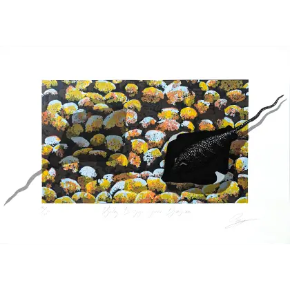 Lin Onus, Djalng Baltjigi Nyuni Djinigima, 1994, limited edition screenprint on paper, 30 x 65 cm (irregular), 50 x 70 cm paper