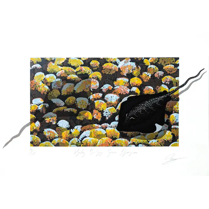 Lin Onus, Djalng Baltjigi Nyuni Djinigima, 1994, limited edition screenprint on paper, 30 x 65 cm (irregular), 50 x 70 cm paper