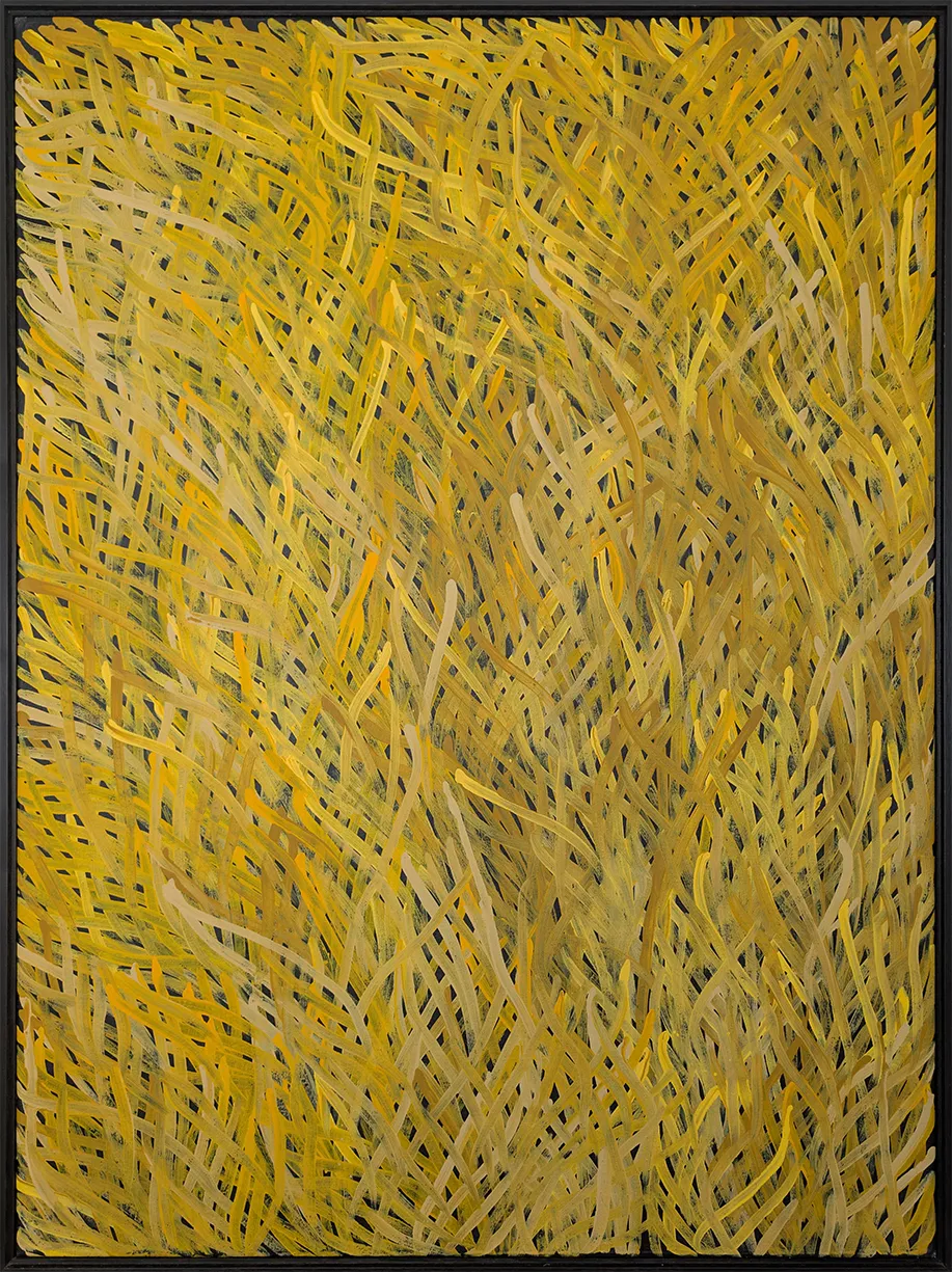 Barbara Weir, Grass Seed Dreaming, 2004, synthetic polymer paint on linen, 122 x 91.5 cm, 125 x 94.5 cm frame