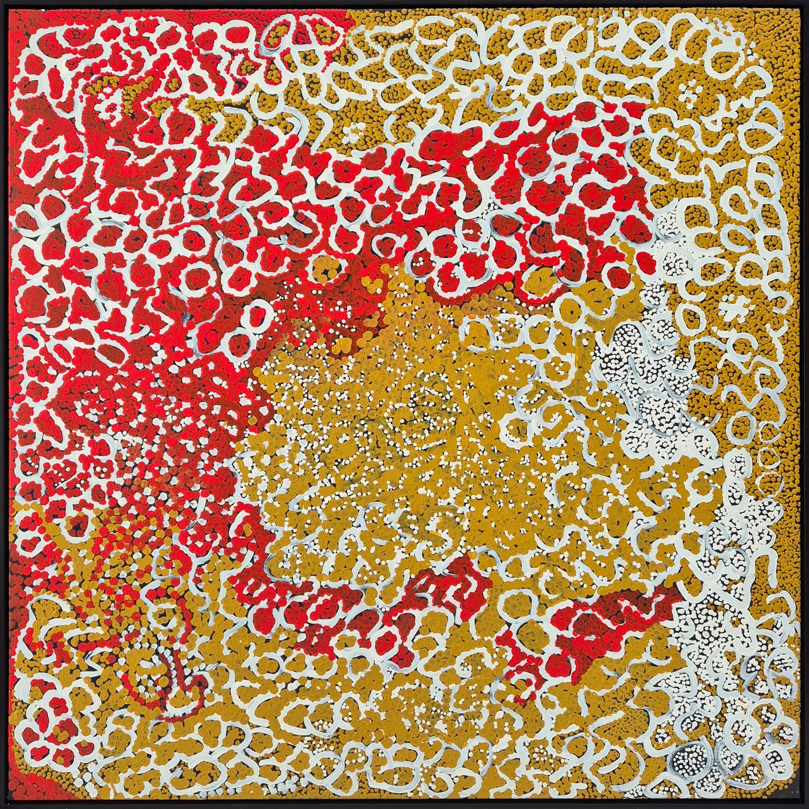 Lorna Naparrula Fencer, Caterpillar Dreaming, 1998, synthetic polymer paint on linen, 121 x 121 cm, 123.5 x 123.5 cm frame