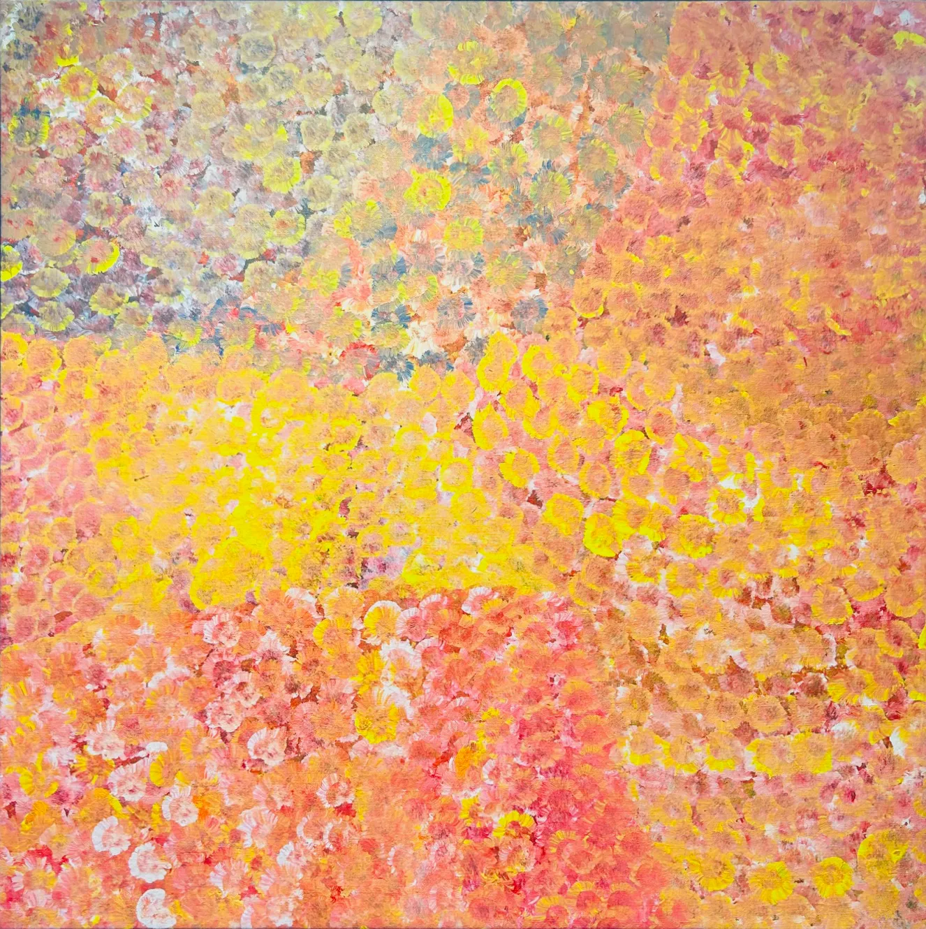 Emily Kame Kngwarreye, Wildflower, 1995, synthetic polymer paint on canvas, 120 x 120 cm