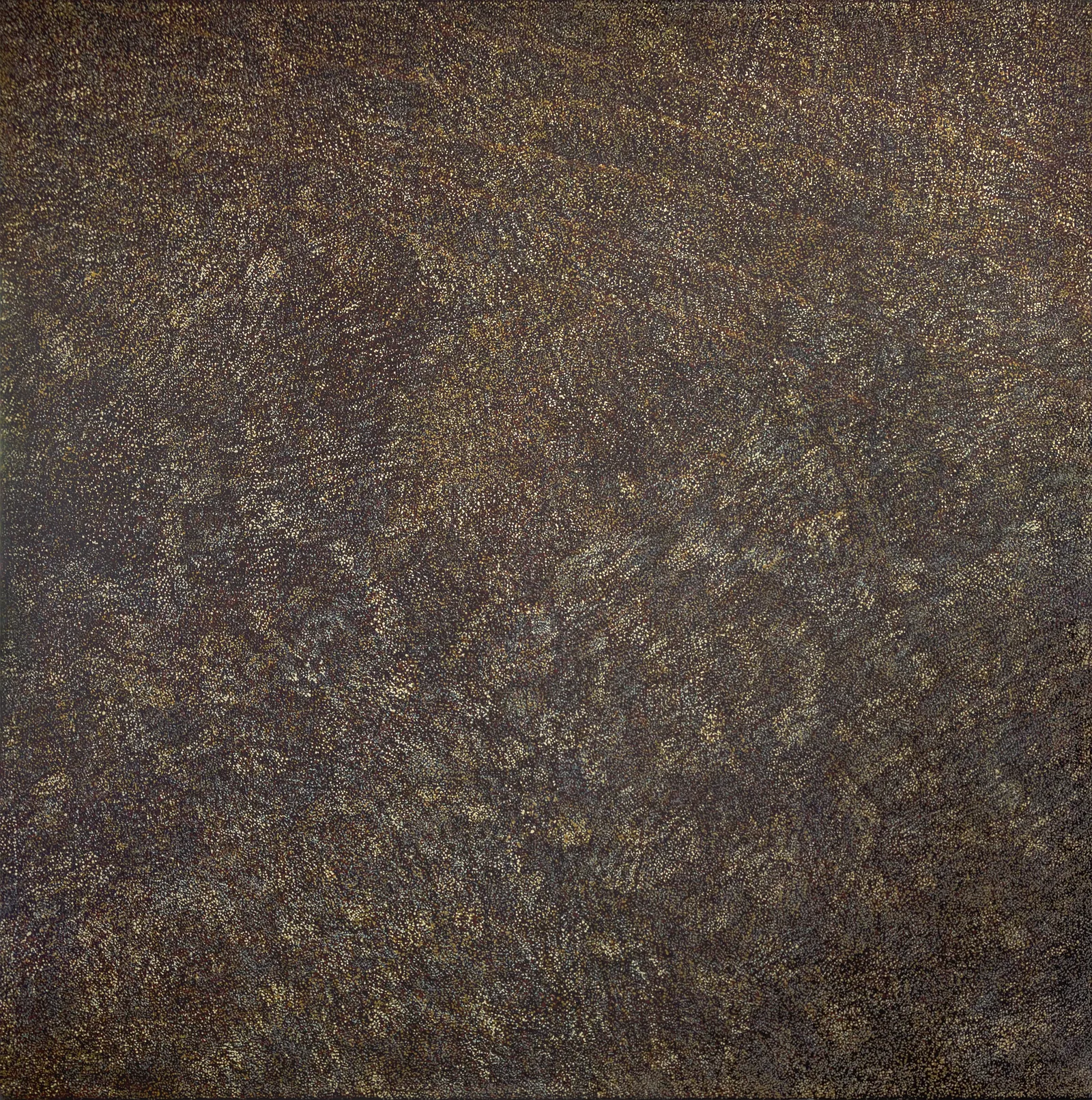 Kathleen Petyarre, My Country - Sandhills, synthetic polymer paint on Belgian linen, 121.5 x 122 cm