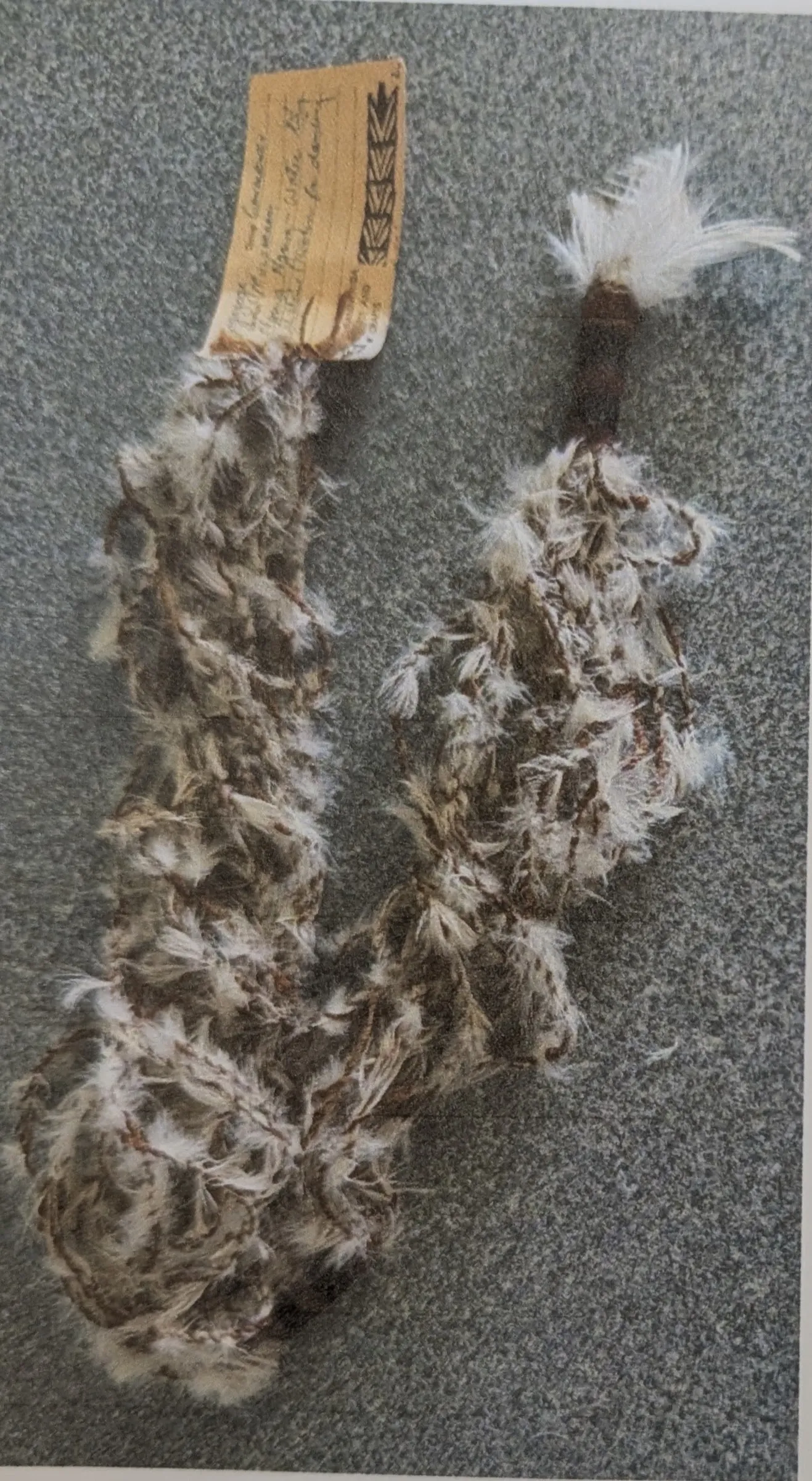 Wugogogogo, Water Lily emblem worn in ceremonial dancing, 80 cm long