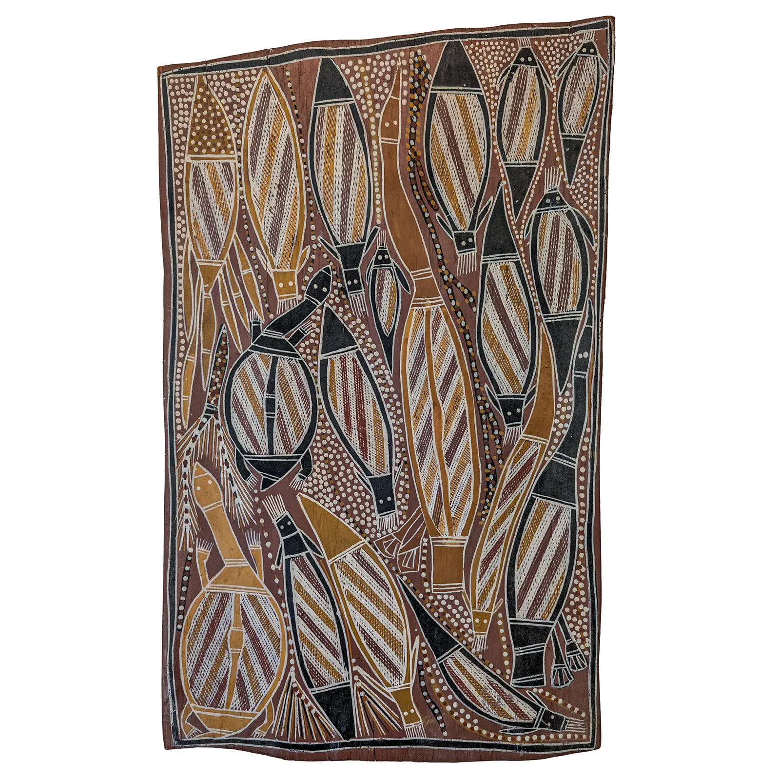 Robert Berranju, Freshwater Dreaming, Walawarri (Catfish Eel), Bandar (Northern long neck tortoise), Burala (Diver Duck) (Darter), natural earth pigments on bark, 83 x 50 cm