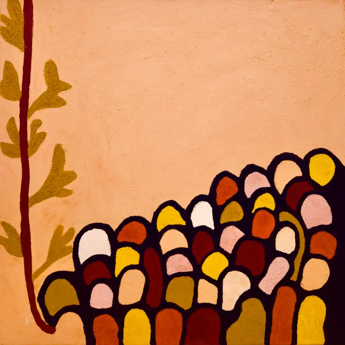 Madigan Thomas, Dooroorrji, 2010, natural earth pigments on canvas, 60 x 60 cm