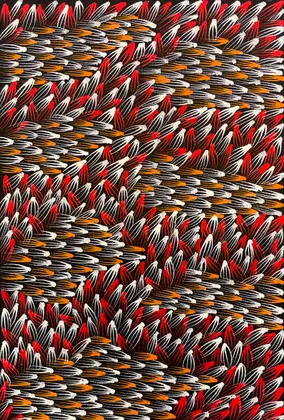 Abie Loy Kemarre, Bush Medicine Leaf, 2026, synthetic polymer paint on canvas, 45 x 30 cm