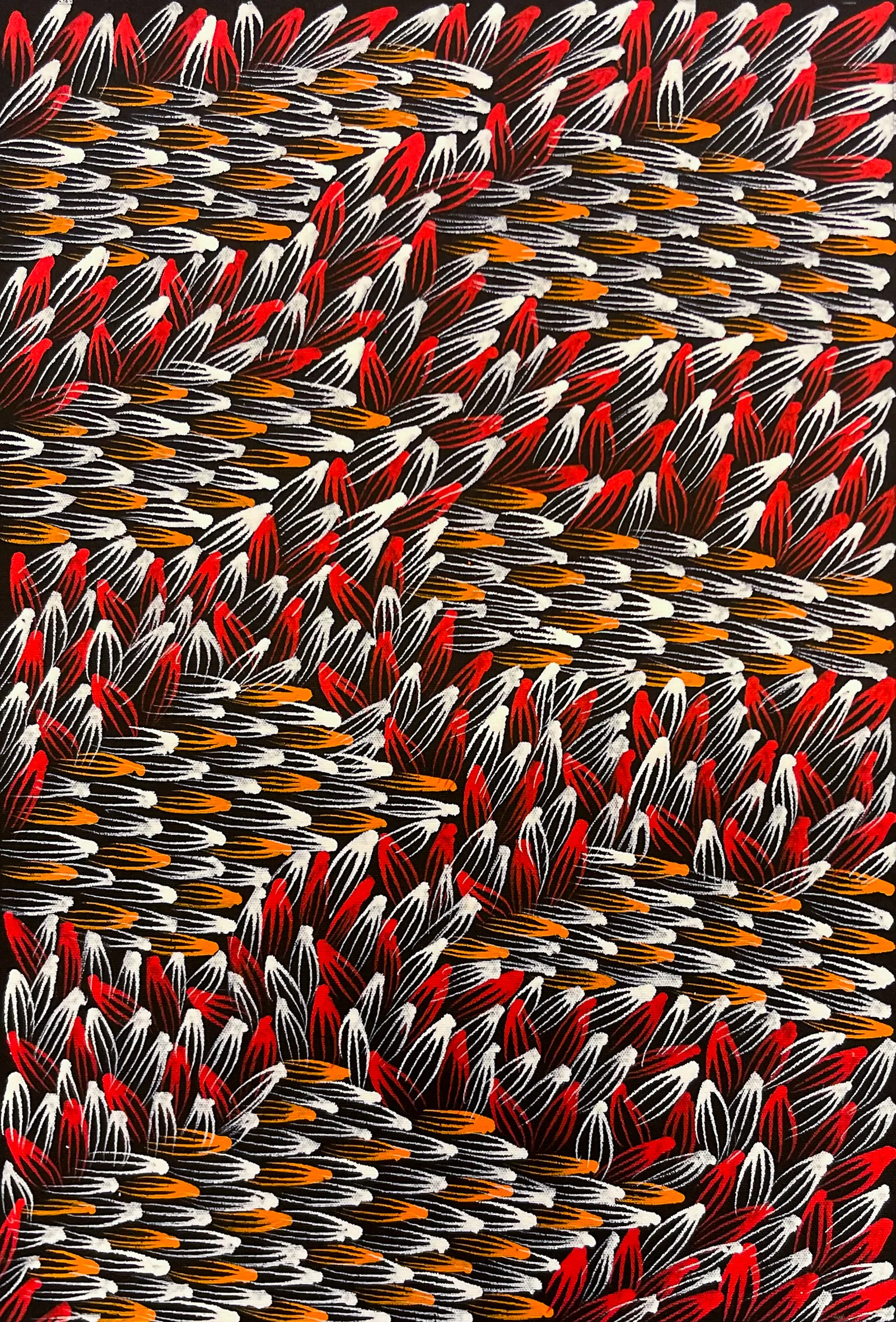 Abie Loy Kemarre, Bush Medicine Leaf, 2026, synthetic polymer paint on canvas, 45 x 30 cm