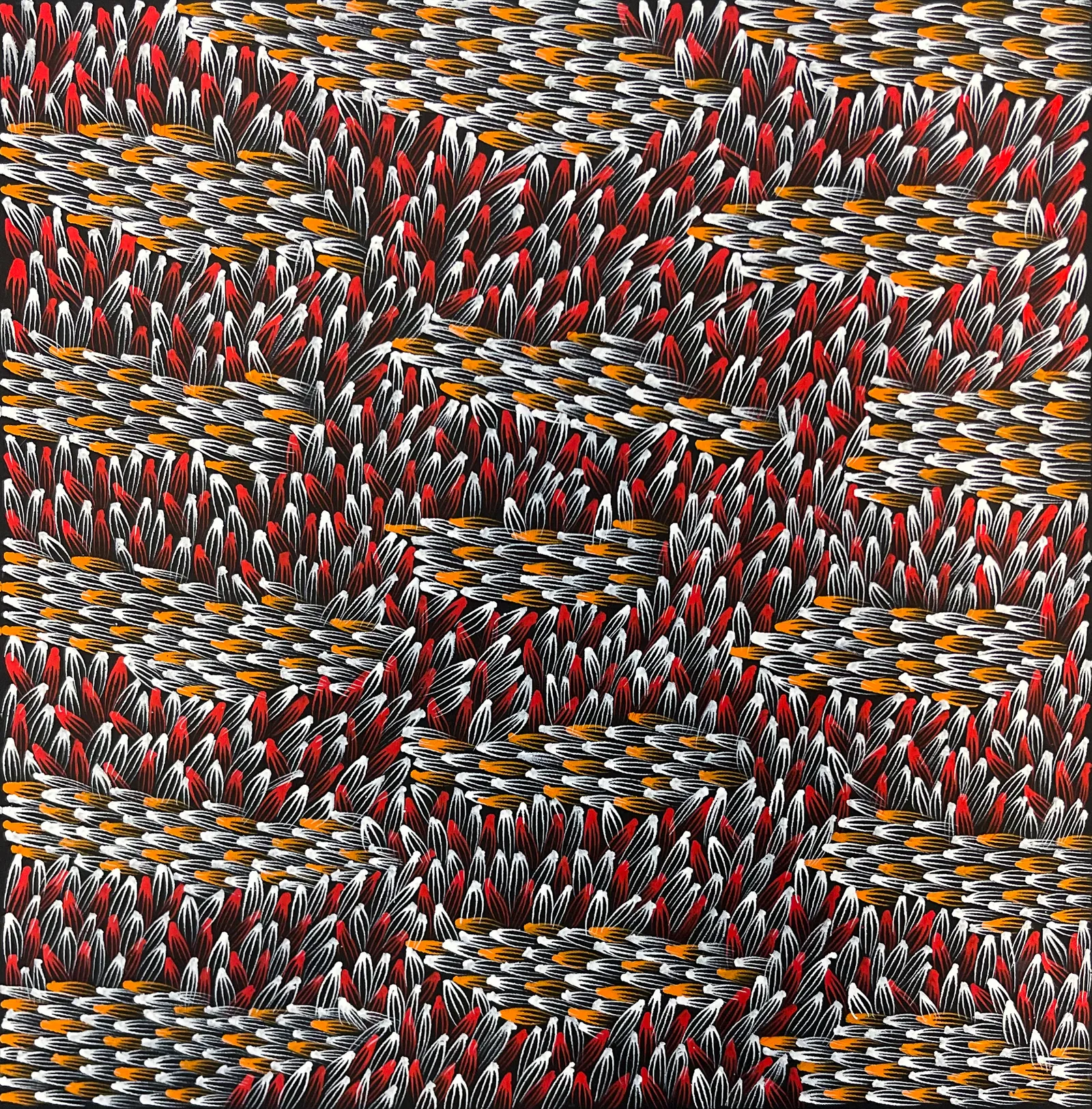 Abie Loy Kemarre, Bush Medicine Leaf, 2026, synthetic polymer paint on canvas, 62 x 61 cm