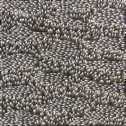 Abie Loy Kemarre, Bush Medicine Leaf, 2026, synthetic polymer paint on canvas, 62 x 62 cm