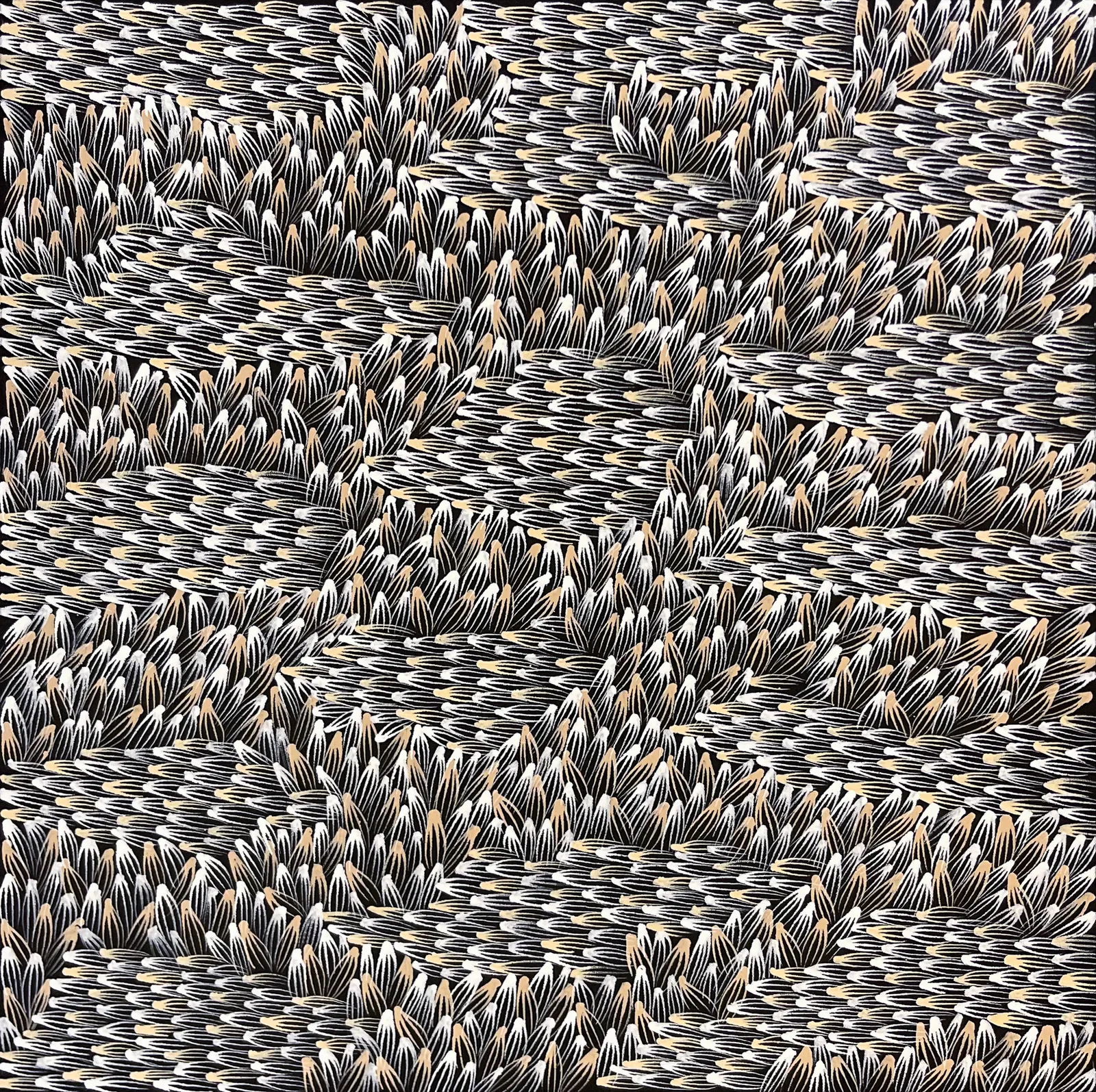 Abie Loy Kemarre, Bush Medicine Leaf, 2026, synthetic polymer paint on canvas, 62 x 62 cm