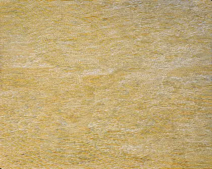 Yukultji Napangarti, Sand Hills, 2012, synthetic polymer paint on linen, 153.5 x 122.5 cm