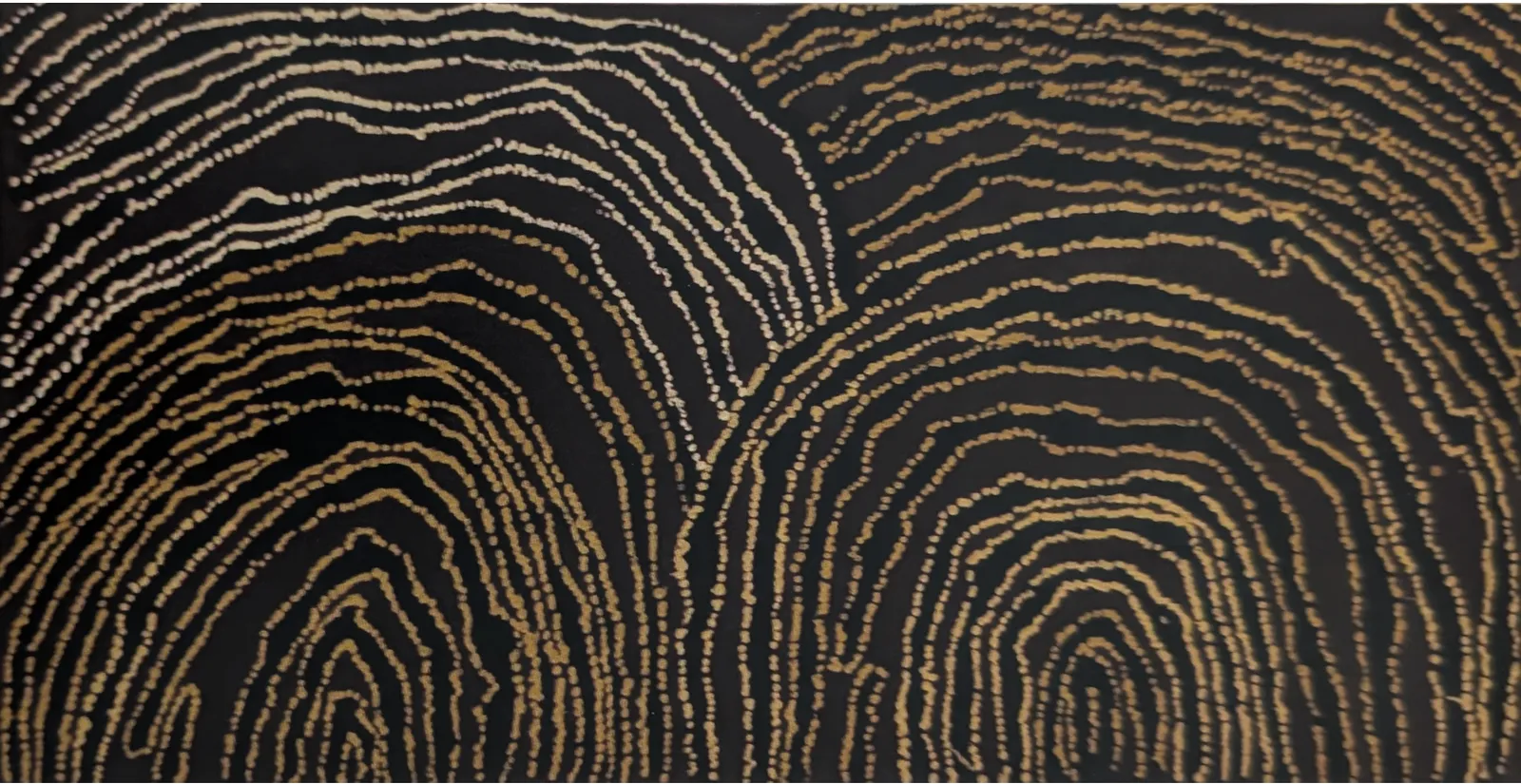 Walangkura Napanangka, My Country, 2007, synthetic polymer paint on linen, 62 x 122 cm