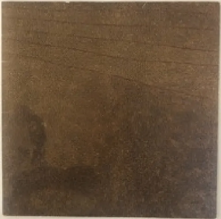 Kathleen Petyarre, My Country Bush Seeds, 2003, synthetic polymer paint on linen, 182 x 180