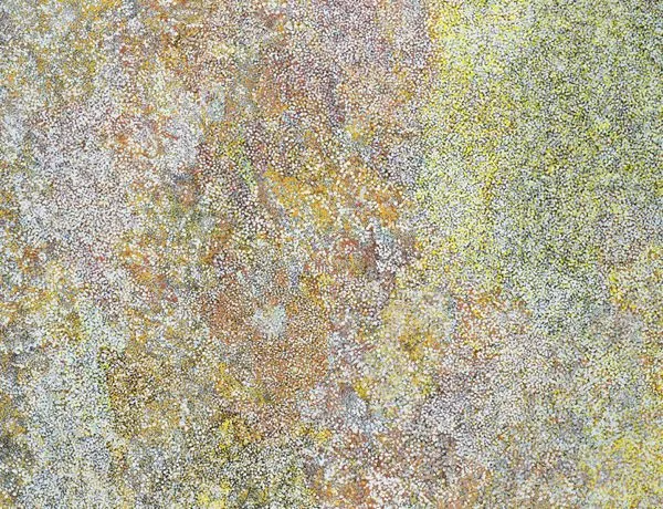 Kathleen Ngale, Bush Plum Dreaming, 2003, synthetic polymer paint on Belgian linen, 183 x 137 cm