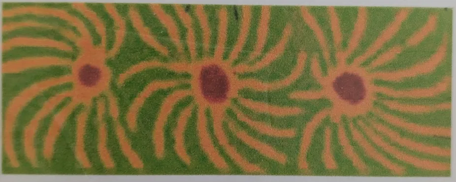 Judy Napangardi Martin, Seed Dreaming - Patanjarngi Kangaroo Food, 2023, synthetic polymer paint on canvas, 80 x 30 cm